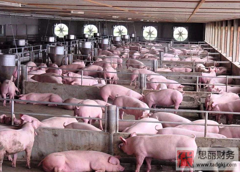 养殖营业执照怎么办理？（最新详细申请流程）