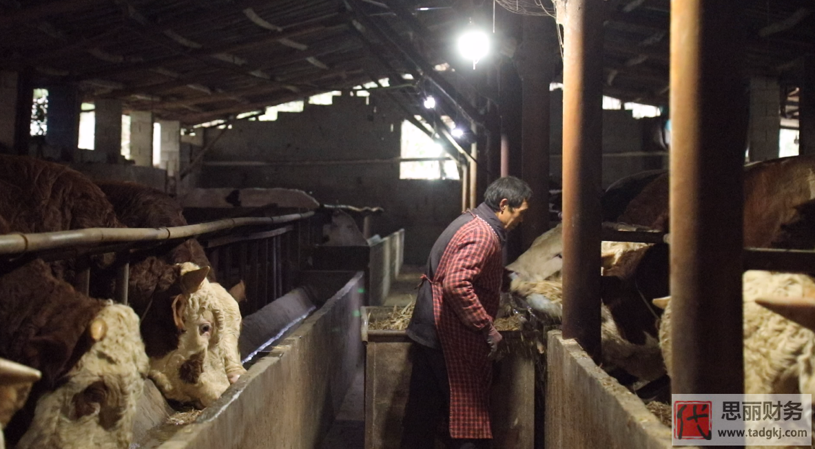 养殖营业执照怎么办理？（最新详细申请流程）