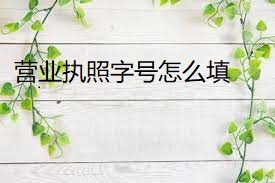 营业执照字号怎么填？（最新填写方法）