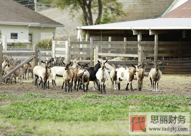 家庭农场营业执照办理(详细办理条件和流程)