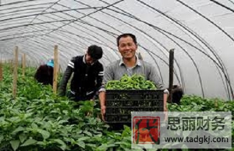 家庭农场营业执照办理(详细办理条件和流程)