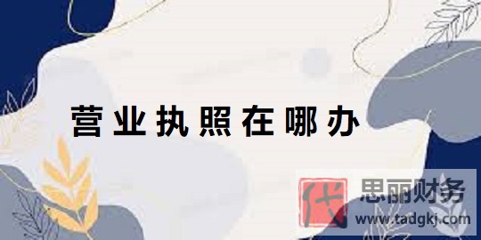 营业执照在哪办理？（详细办理流程分享）