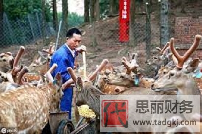 个体养殖户营业执照怎么办理？（详细注册流程）