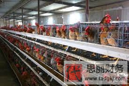 个体养殖户营业执照怎么办理？（详细注册流程）