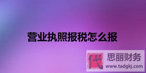 营业执照报税怎么报？（详细报税流程分享）