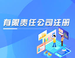 有限责任公司注册要求（最新详细要求整理）