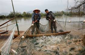 个人养殖公司怎么注册？（详细申请流程）