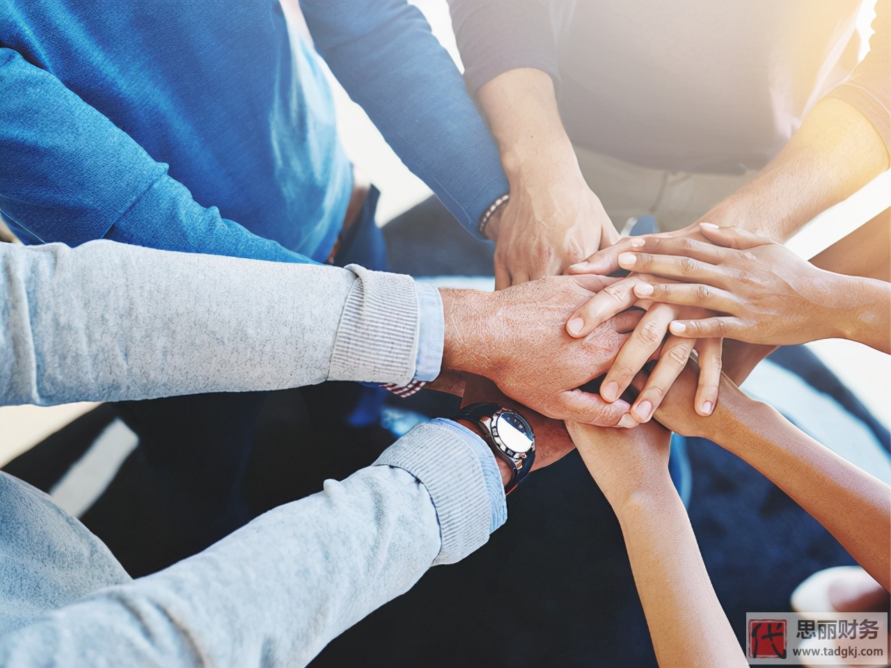 家族公司注册什么类型公司？