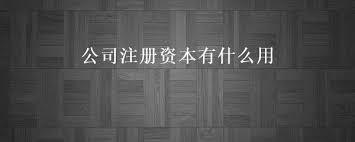 公司注册资本有什么用？（注册资金详解）