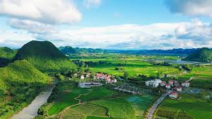 文化旅游公司注册经营范围有哪些？