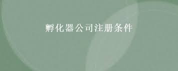 孵化器公司注册条件是什么？