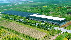 生态农业公司注册条件有哪些？