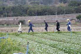 生态农业公司注册条件有哪些？