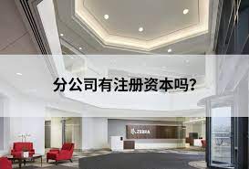 分公司有注册资本吗？（注册资金详细说明）