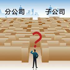 分公司注册资本填多少？是否有注册资本？