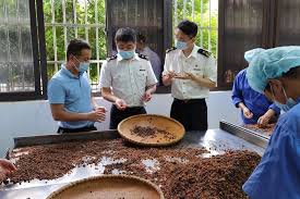 个人如何注册中药材公司？（中药材公司申请必备条件）