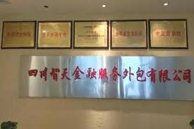 金融服务外包公司注册条件（金融公司申请条件）