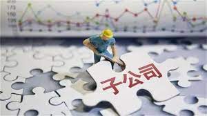 注册子公司需要的材料有哪些？