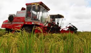 农业发展有限公司注册条件是什么？