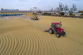 农业发展有限公司注册条件是什么？