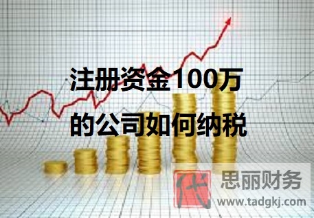 注册资金100万的公司如何纳税？