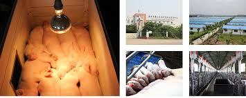 养殖公司怎么注册？（最详细申请流程分享）