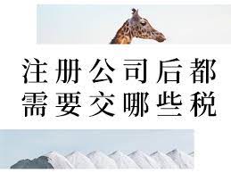 注册公司需要交哪些税？（纳税细则说明）