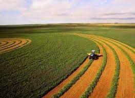 农业注册公司的名字大全(好听名字整理分享)