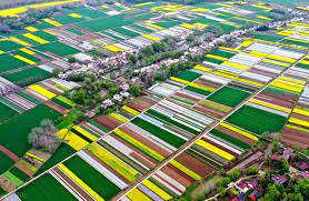 农村注册什么公司政策好？