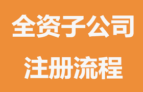 全资子公司注册流程（2025年申请步骤）