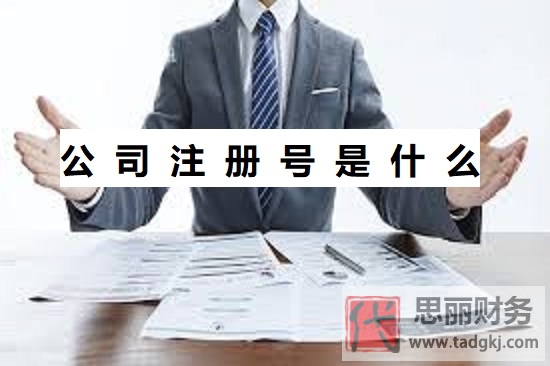 公司注册号是什么？（注册号详细介绍）