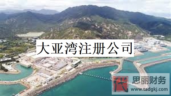 大亚湾怎么注册公司？(2024年最新申请流程)