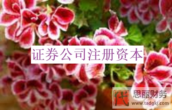 证券公司注册资本需要多少？