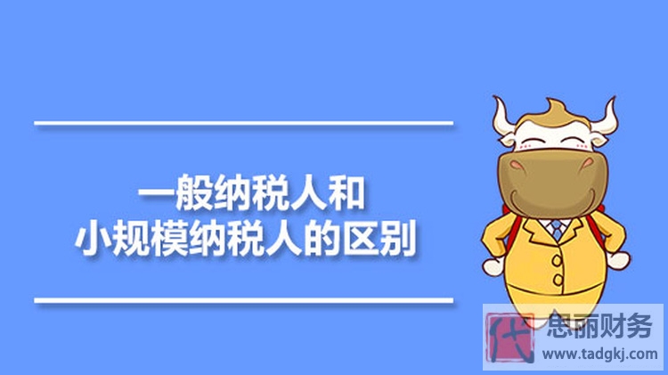 一般纳税人代理记账费用一年多少钱？
