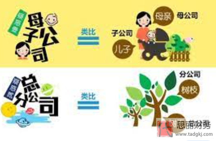 分公司法人可以变更吗？（分公司与子公司区别）