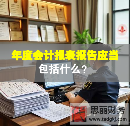 年度会计报表报告应当包括什么？