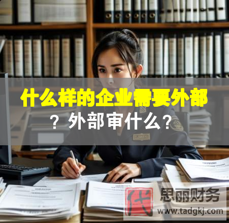 什么样的企业需要外部？外部审什么？