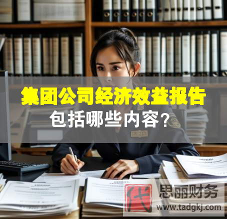 集团公司经济效益报告包括哪些内容？
