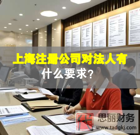 上海注册公司对法人有什么要求？