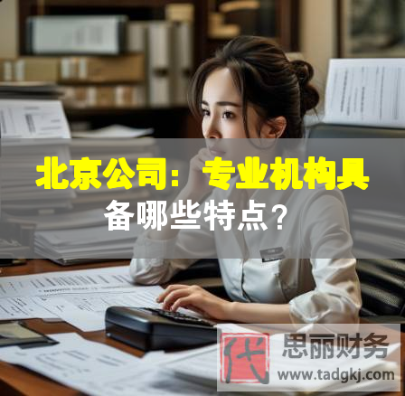 北京公司：专业机构具备哪些特点？