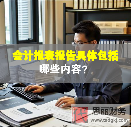 会计报表报告具体包括哪些内容？