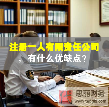 注册一人有限责任公司，有什么优缺点？