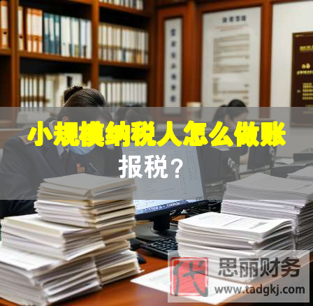 小规模纳税人怎么做账报税？