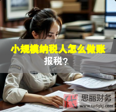 小规模纳税人怎么做账报税？