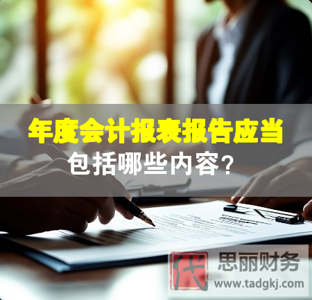 年度会计报表报告应当包括哪些内容？
