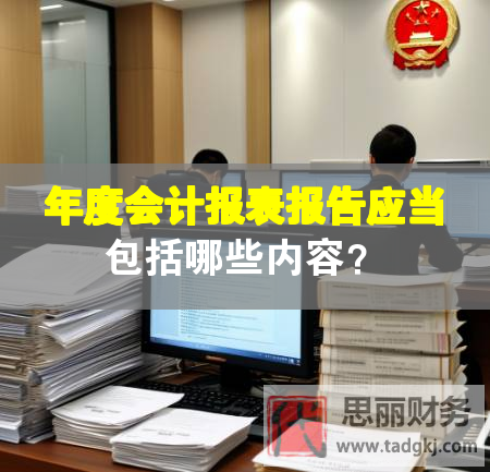 年度会计报表报告应当包括哪些内容？