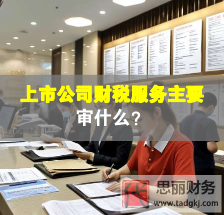 上市公司财税服务主要审什么？