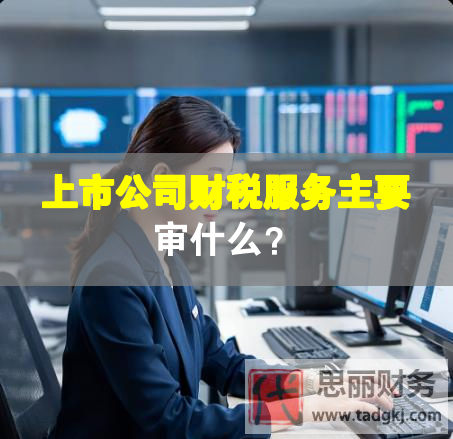 上市公司财税服务主要审什么？