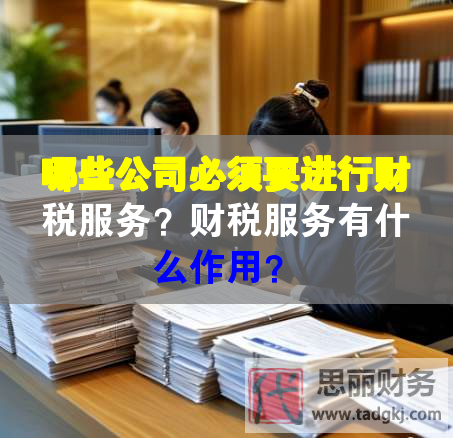 哪些公司必须要进行财税服务？财税服务有什么作用？