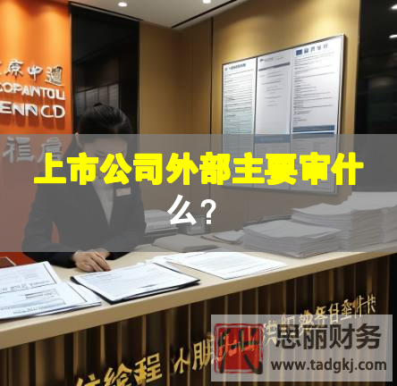 上市公司外部主要审什么？